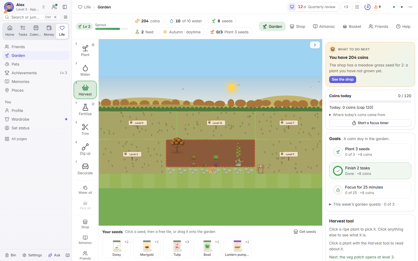 The garden game: the plot, tools and goals